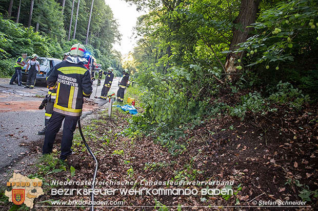 20160623 VU L4010 Pfaffstätten-Gaaden  Foto: © Stefan Schneider