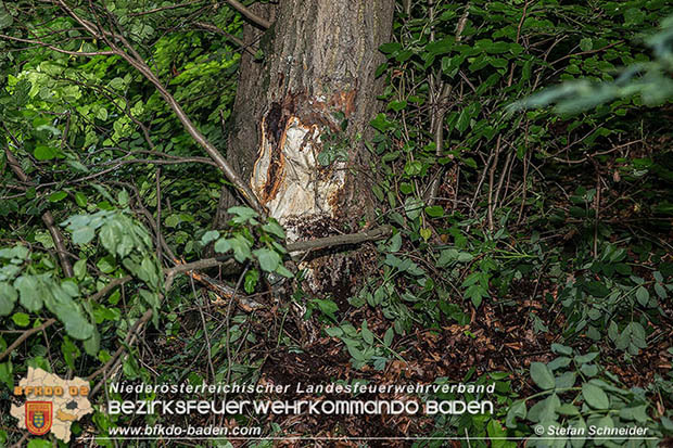 20160623 VU L4010 Pfaffstätten-Gaaden  Foto: © Stefan Schneider