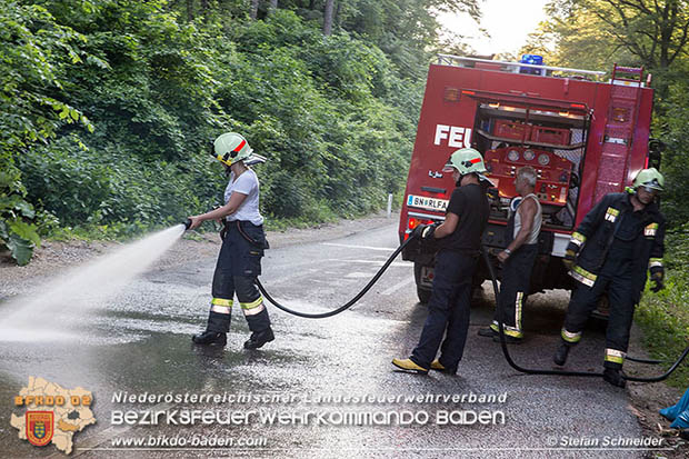20160623 VU L4010 Pfaffstätten-Gaaden  Foto: © Stefan Schneider