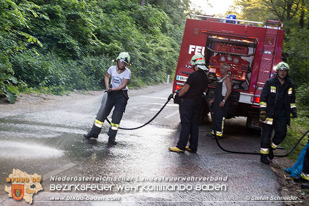 20160623 VU L4010 Pfaffstätten-Gaaden  Foto: © Stefan Schneider