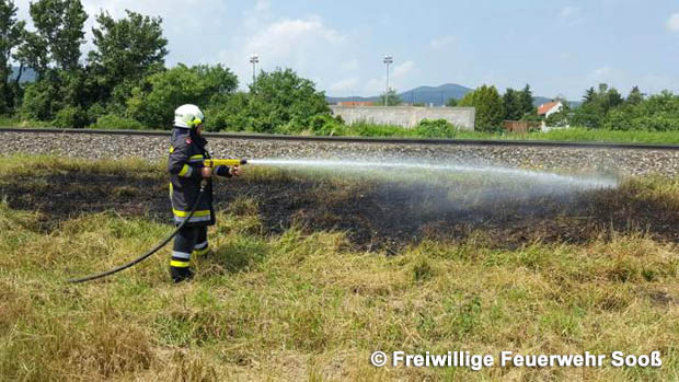 20160625 Flurbrände auf der Südbahnstrecke durch defekte Bremse eines Güterzuges  Foto: © Freiwillige Feuerwehr Sooß