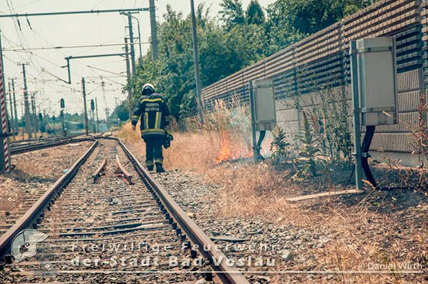 20160625 Flurbrände auf der Südbahnstrecke durch defekte Bremse eines Güterzuges  Foto: ©  Daniel Wirth