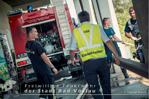 20160625 Flurbrände auf der Südbahnstrecke durch defekte Bremse eines Güterzuges  Foto: ©  Daniel Wirth