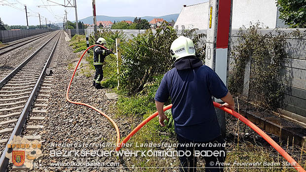 20160625 Flurbrände auf der Südbahnstrecke durch defekte Bremse eines Güterzuges Foto: © Stefan Schneider