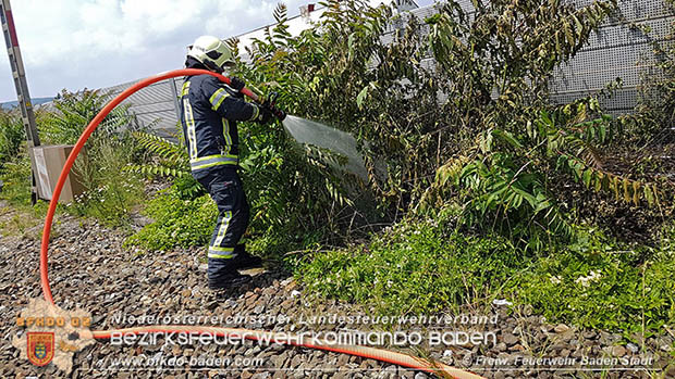 20160625 Flurbrände auf der Südbahnstrecke durch defekte Bremse eines Güterzuges Foto: © Stefan Schneider