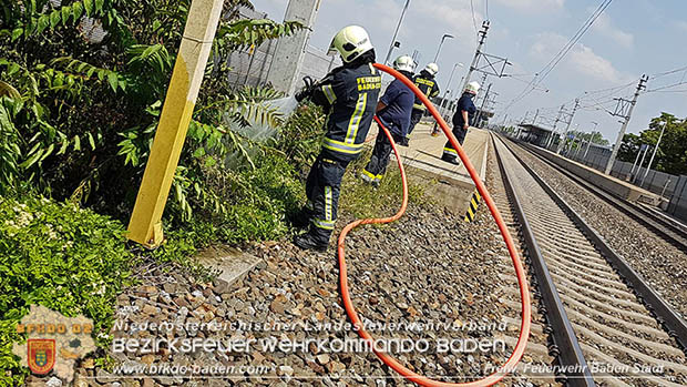 20160625 Flurbrände auf der Südbahnstrecke durch defekte Bremse eines Güterzuges Foto: © Stefan Schneider