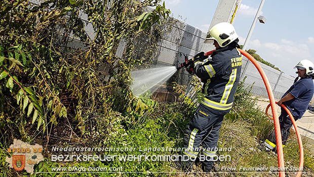 20160625 Flurbrände auf der Südbahnstrecke durch defekte Bremse eines Güterzuges Foto: © Stefan Schneider