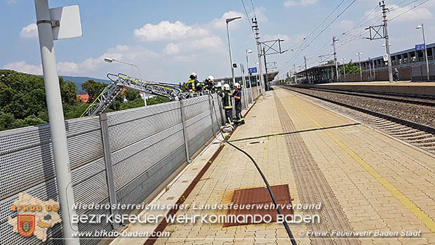 20160625 Flurbrände auf der Südbahnstrecke durch defekte Bremse eines Güterzuges Foto: © Stefan Schneider