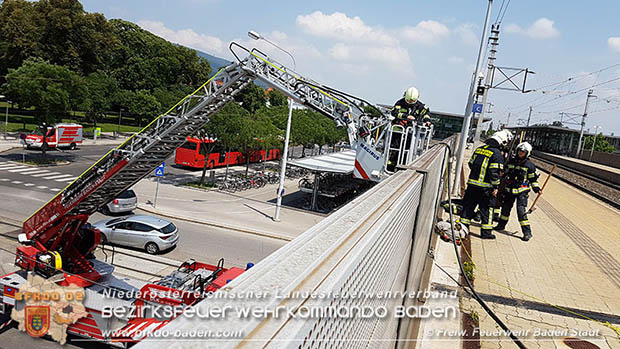 20160625 Flurbrände auf der Südbahnstrecke durch defekte Bremse eines Güterzuges Foto: © Stefan Schneider