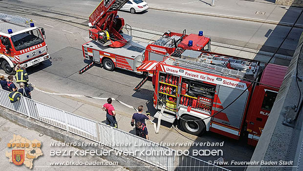 20160625 Flurbrände auf der Südbahnstrecke durch defekte Bremse eines Güterzuges Foto: © Stefan Schneider