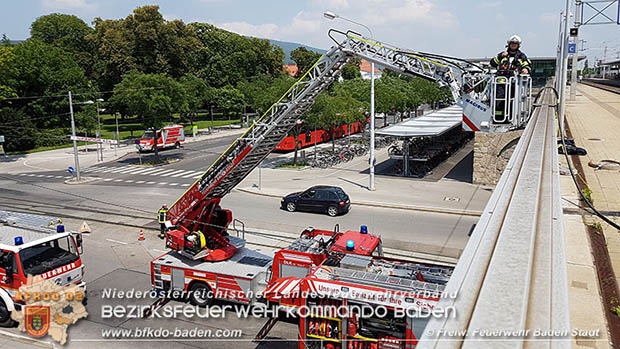 20160625 Flurbrände auf der Südbahnstrecke durch defekte Bremse eines Güterzuges Foto: © Stefan Schneider