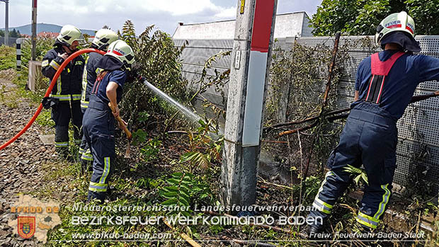 20160625 Flurbrände auf der Südbahnstrecke durch defekte Bremse eines Güterzuges Foto: © Stefan Schneider