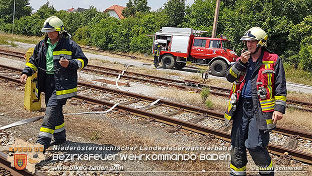 20160625 Flurbrände auf der Südbahnstrecke durch defekte Bremse eines Güterzuges Foto: © Stefan Schneider