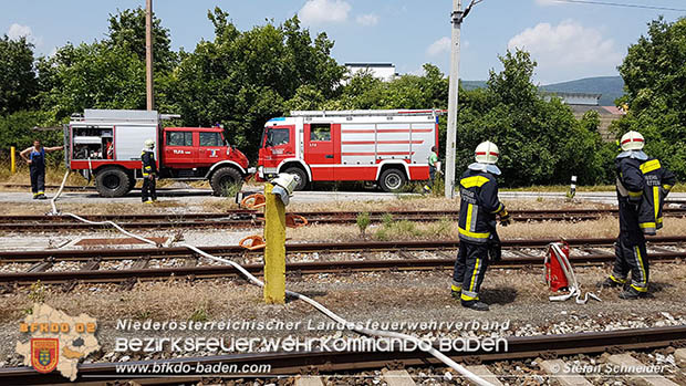 20160625 Flurbrände auf der Südbahnstrecke durch defekte Bremse eines Güterzuges Foto: © Stefan Schneider