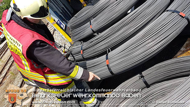 20160625 Flurbrände auf der Südbahnstrecke durch defekte Bremse eines Güterzuges Foto: © Stefan Schneider