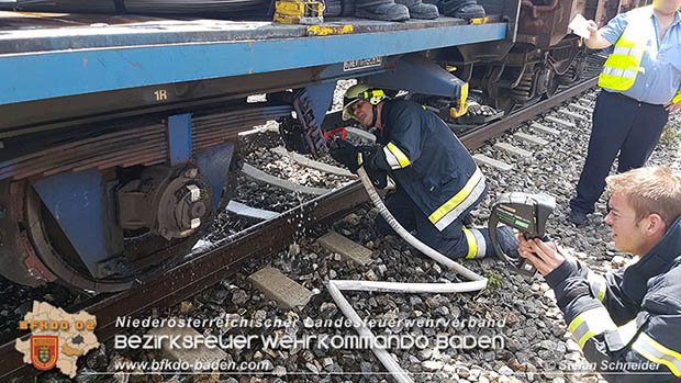 20160625 Flurbrände auf der Südbahnstrecke durch defekte Bremse eines Güterzuges Foto: © Stefan Schneider