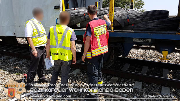 20160625 Flurbrände auf der Südbahnstrecke durch defekte Bremse eines Güterzuges Foto: © Stefan Schneider
