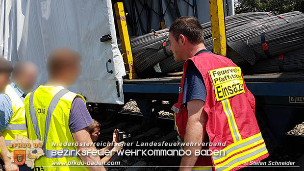 20160625 Flurbrände auf der Südbahnstrecke durch defekte Bremse eines Güterzuges Foto: © Stefan Schneider