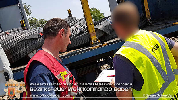 20160625 Flurbrände auf der Südbahnstrecke durch defekte Bremse eines Güterzuges Foto: © Stefan Schneider