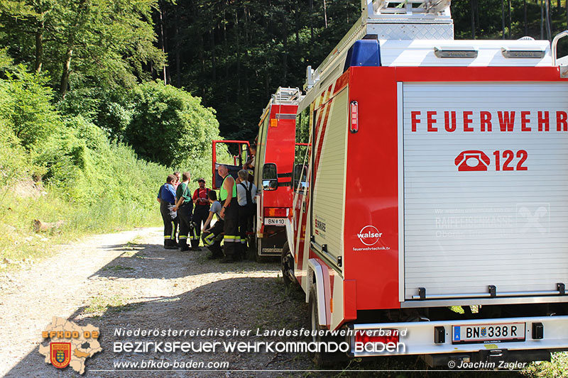 20160705 Forstunfall Furth a.d.Triesting  Foto: © Joachim Zagler