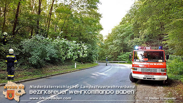20160714 Sturmschaden L2099 Siegenfeld  Foto: © Stefan Schneider