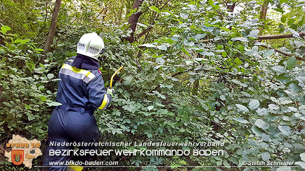 20160714 Sturmschaden L2099 Siegenfeld  Foto: © Stefan Schneider