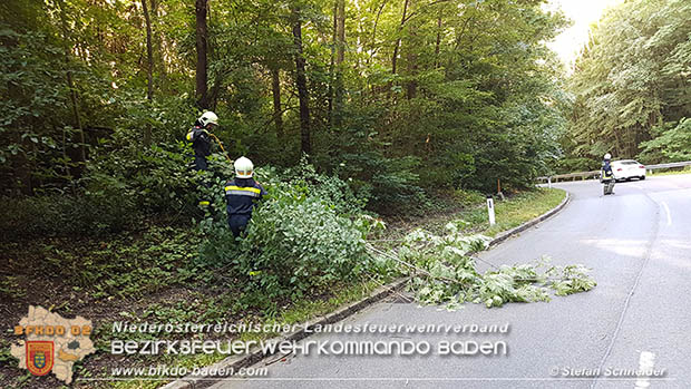 20160714 Sturmschaden L2099 Siegenfeld  Foto: © Stefan Schneider