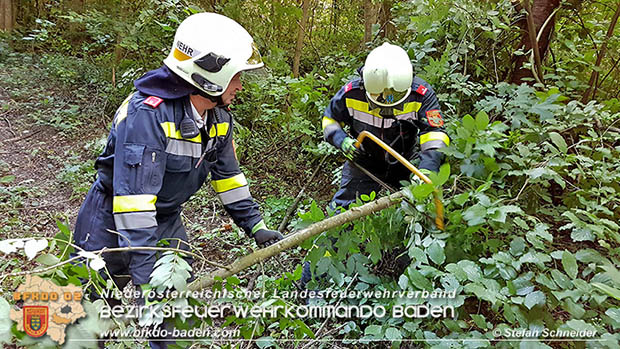 20160714 Sturmschaden L2099 Siegenfeld  Foto: © Stefan Schneider