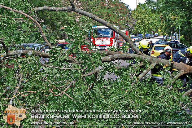 20160714 Sturmschaden in Traiskirchen-Wienersdorf  Foto: © Bernhard Rzidky
