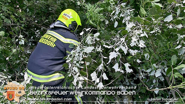20160714 Sturmschaden in Traiskirchen-Wienersdorf  Foto: © Stefan Schneider