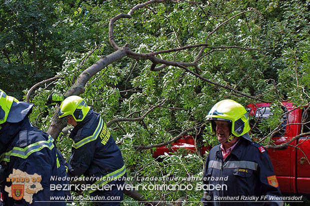 20160714 Sturmschaden in Traiskirchen-Wienersdorf  Foto: © Bernhard Rzidky