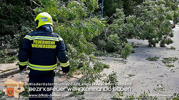 20160714 Sturmschaden in Traiskirchen-Wienersdorf  Foto: © Stefan Schneider