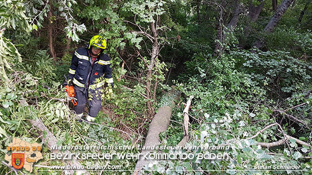 20160714 Sturmschaden in Traiskirchen-Wienersdorf  Foto: © Stefan Schneider
