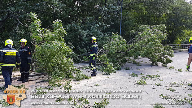 20160714 Sturmschaden in Traiskirchen-Wienersdorf  Foto: © Stefan Schneider