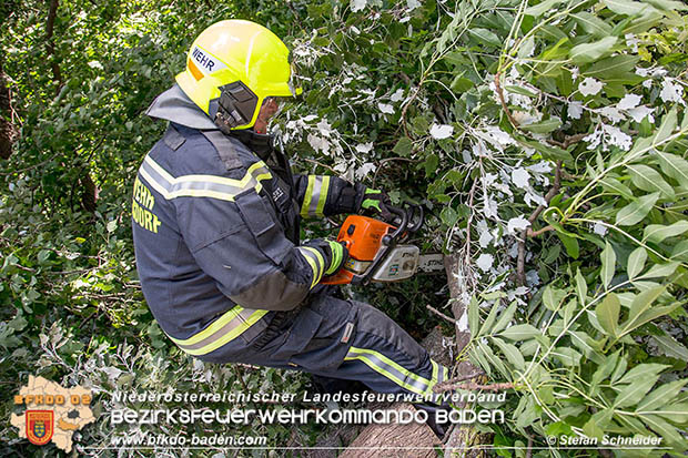 20160714 Sturmschaden in Traiskirchen-Wienersdorf  Foto: © Stefan Schneider