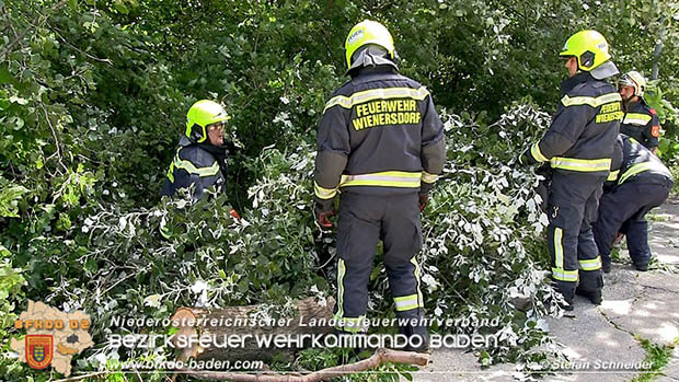 20160714 Sturmschaden in Traiskirchen-Wienersdorf  Foto: © Stefan Schneider