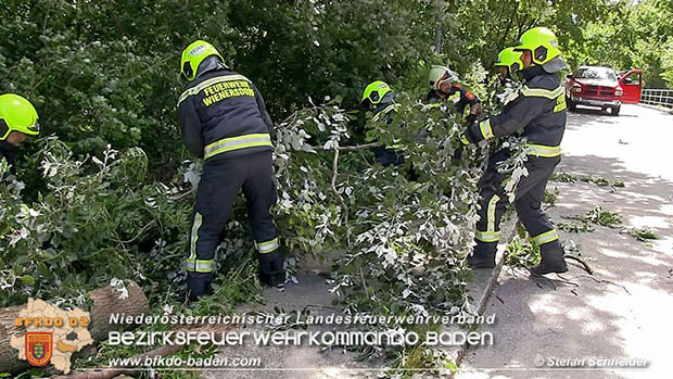 20160714 Sturmschaden in Traiskirchen-Wienersdorf  Foto: © Stefan Schneider
