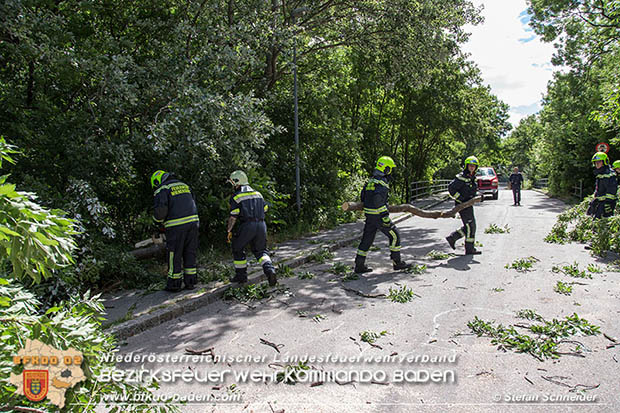 20160714 Sturmschaden in Traiskirchen-Wienersdorf  Foto: © Stefan Schneider