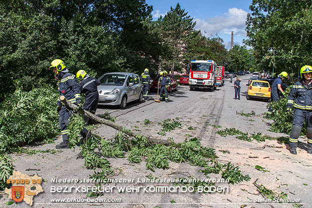 20160714 Sturmschaden in Traiskirchen-Wienersdorf  Foto: © Stefan Schneider