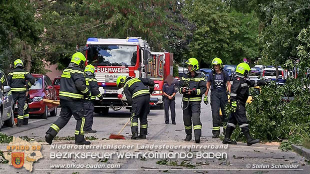 20160714 Sturmschaden in Traiskirchen-Wienersdorf  Foto: © Stefan Schneider