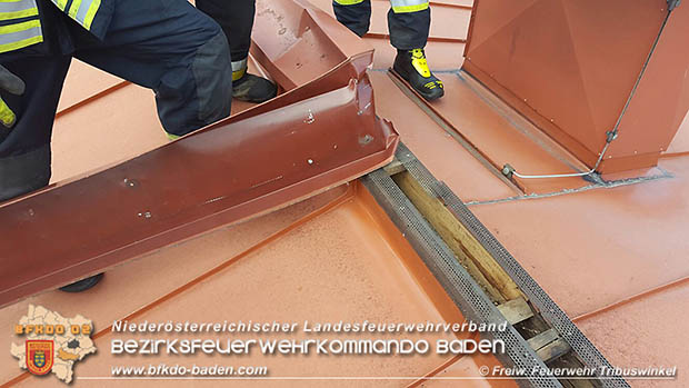 20160714 Sturmschaden in Tribuswinkel  Foto: © Daniel Schedewy