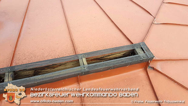 20160714 Sturmschaden in Tribuswinkel  Foto: © Daniel Schedewy