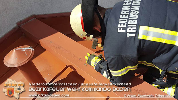 20160714 Sturmschaden in Tribuswinkel  Foto: © Daniel Schedewy