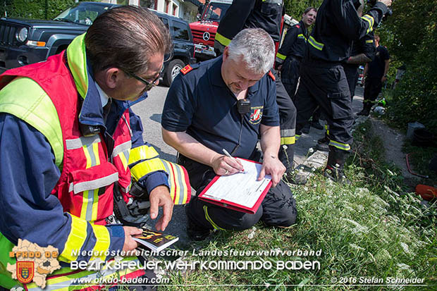 20160726 Pferd über steile Böschung in Baden abgestürzt  Foto: © Stefan Schneider