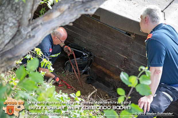 20160726 Pferd über steile Böschung in Baden abgestürzt  Foto: © Stefan Schneider