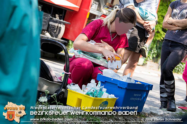 20160726 Pferd über steile Böschung in Baden abgestürzt  Foto: © Stefan Schneider