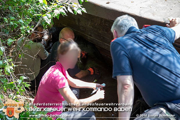 20160726 Pferd über steile Böschung in Baden abgestürzt  Foto: © Stefan Schneider