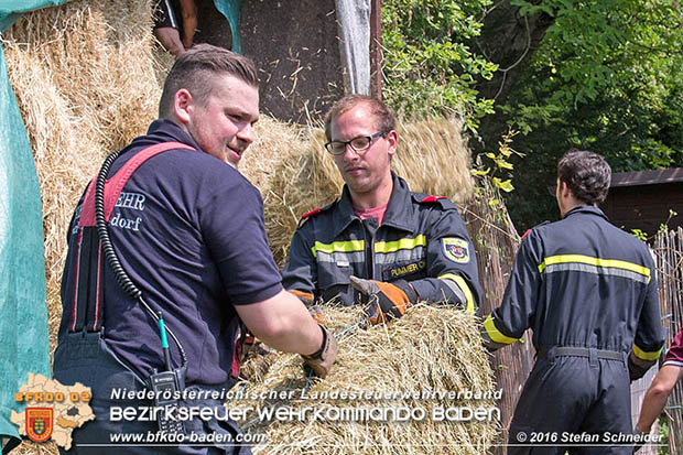 20160726 Pferd über steile Böschung in Baden abgestürzt  Foto: © Stefan Schneider