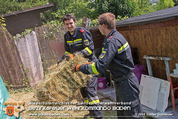 20160726 Pferd über steile Böschung in Baden abgestürzt  Foto: © Stefan Schneider