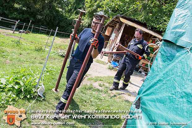 20160726 Pferd über steile Böschung in Baden abgestürzt  Foto: © Stefan Schneider
